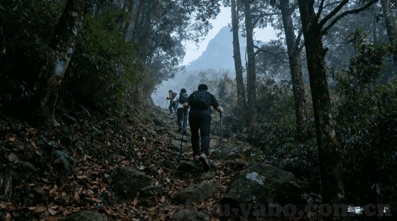 下载手游斗破九州破确版-找寻那些未曾触碰的奇妙世界，下载手游斗破九州破确版